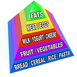 food pyramid