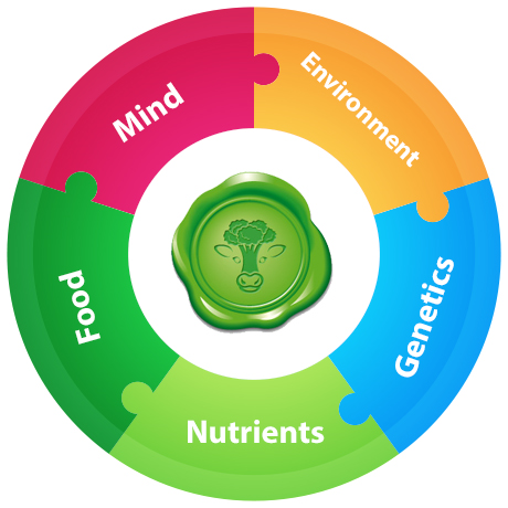 An integrative nutritional approach