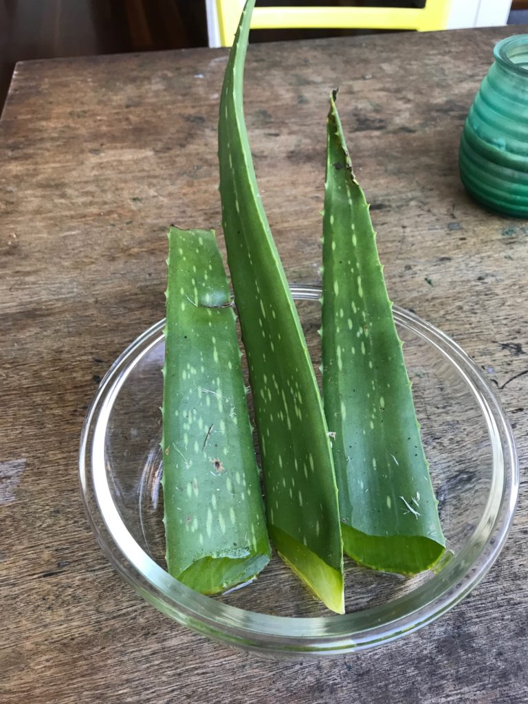 stems standing to drip