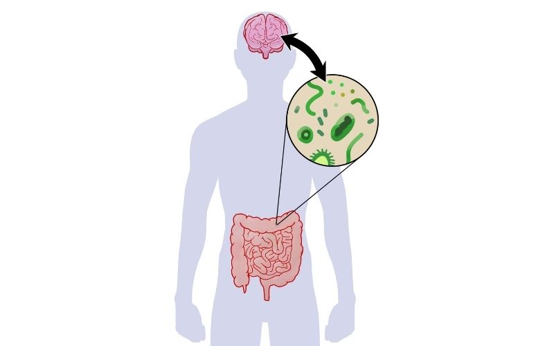 gilberts syndrome gut symptoms at true foods nutrition in sydney