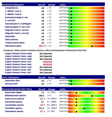 True Foods NutritionGI Map Gut - Gi Map Test Example True Foods Nutrition 480x498