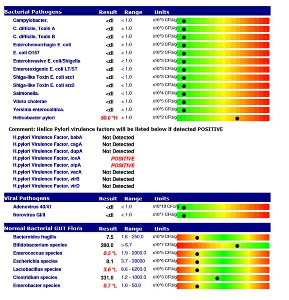 gi map test example at true foods nutrition