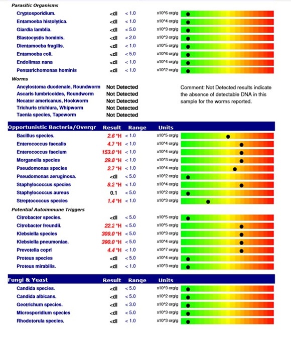 gi map test melbourne test example at true foods nutrition