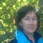 deb perry Deb Perry Naturopath