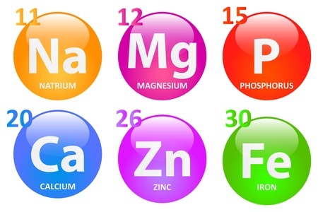 minerals for hair mineral analysis course for health practitioners at true foods nutrition