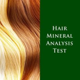 hair mineral analysis test at true foods nutrition