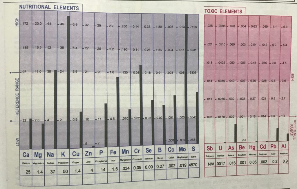 hair analysis Australia report from True Foods Nutrition