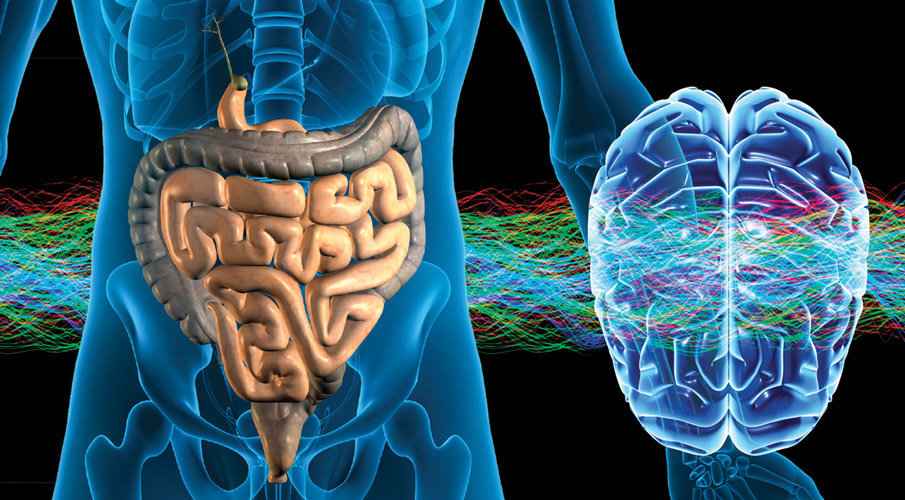 brain gut connection and living with gilberts syndrome online course at true foods nutrition