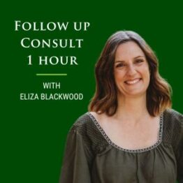 naturopath and nutritionist follow up consult 1 hour with eliza blackwood of true foods nutrition