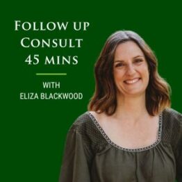 naturopath and nutritionist follow up consult 45 minutes with eliza blackwood of true foods nutrition